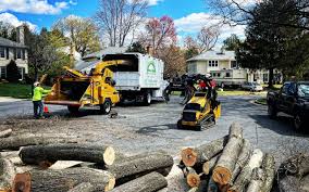 Best Tree Preservation Services  in Pine Crest, TN